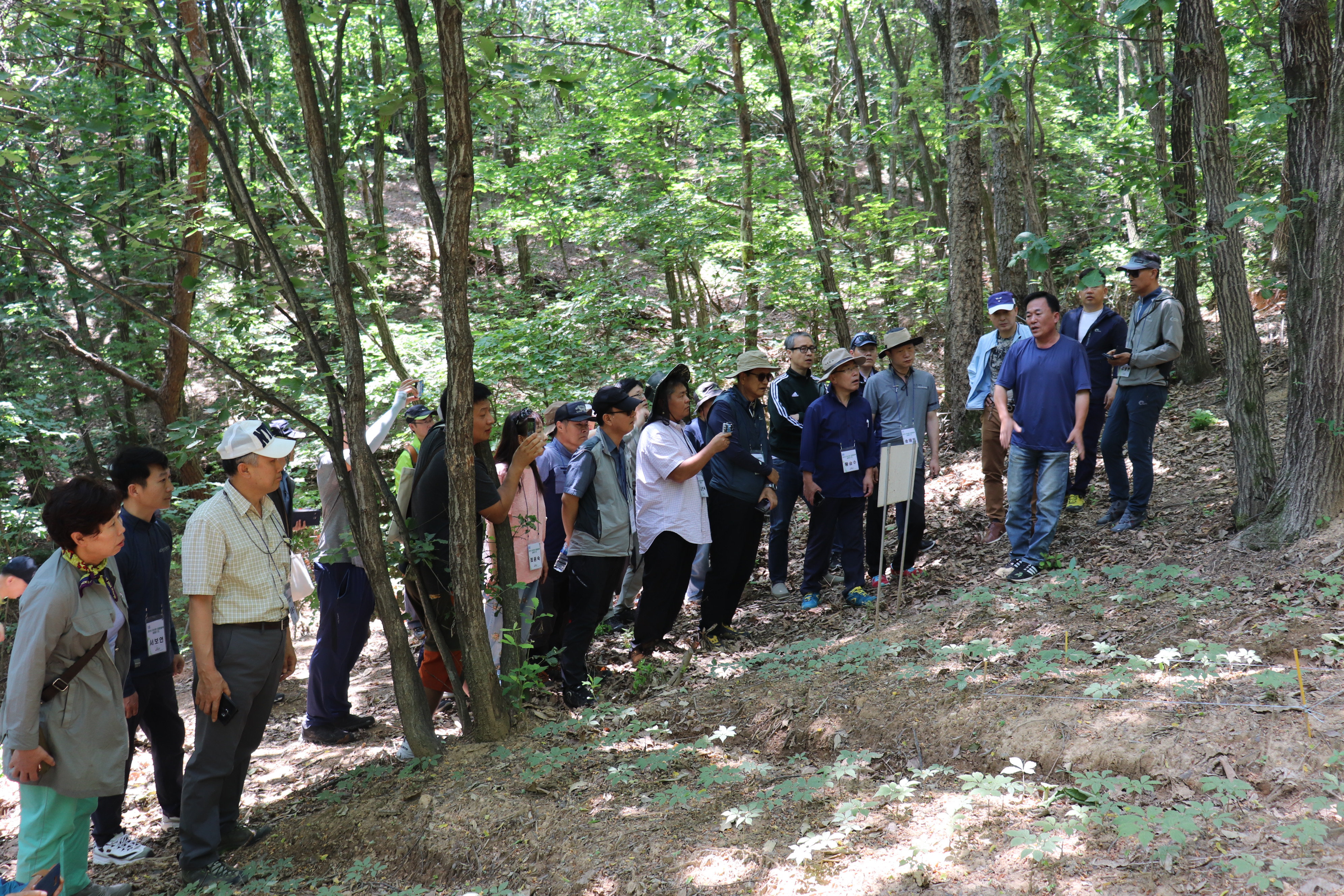 산양삼재배지 교육(18년).jpg