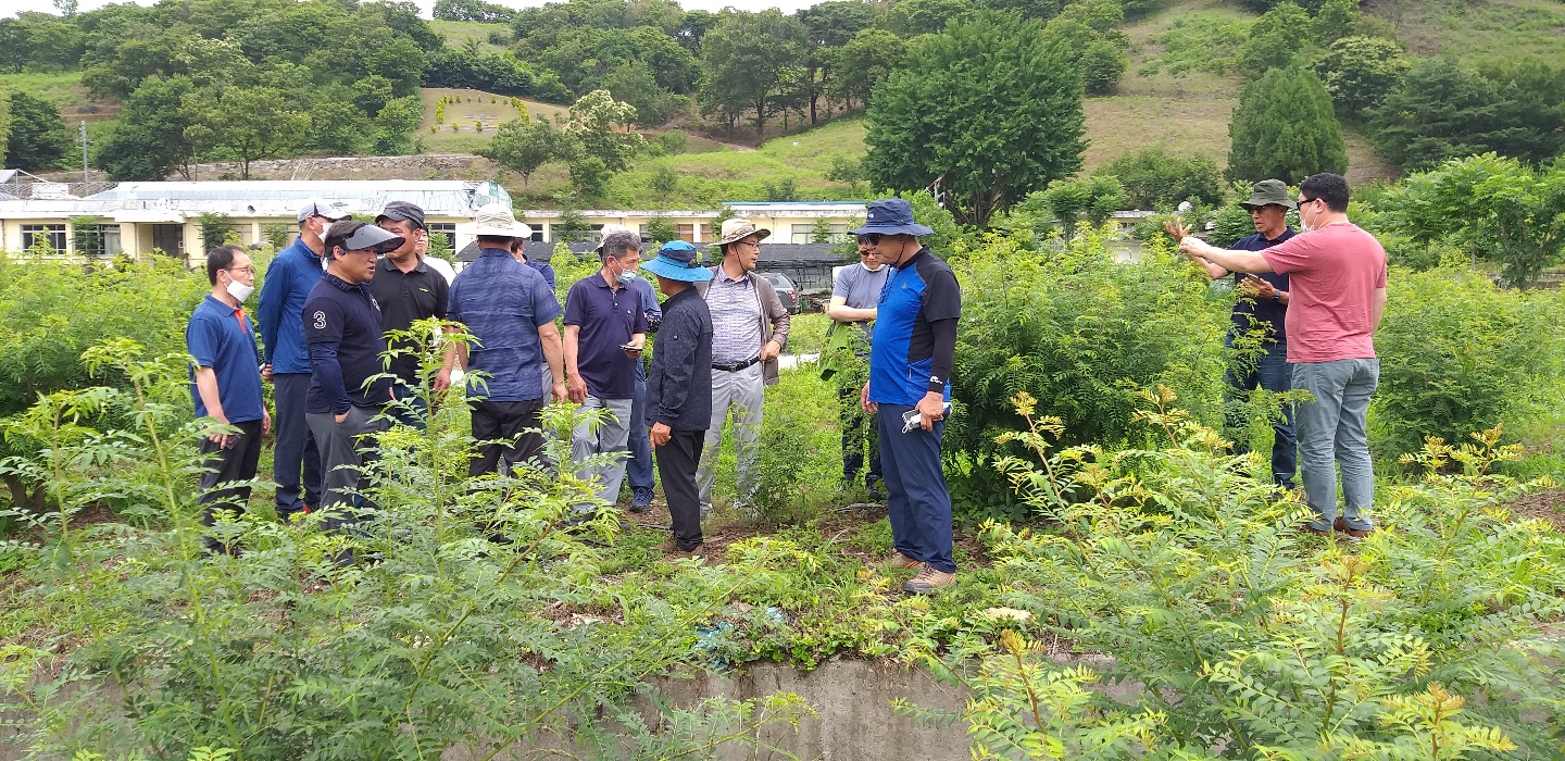산초재배 현장교육(20년 산촌학교 광주권).jpg