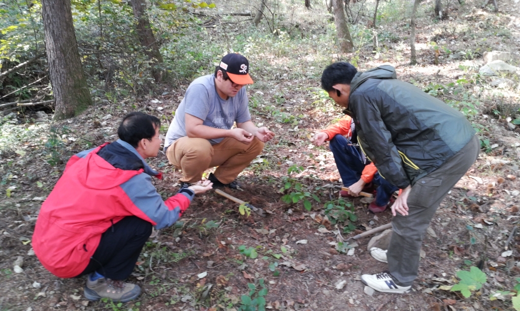 산양삼 재배 실습