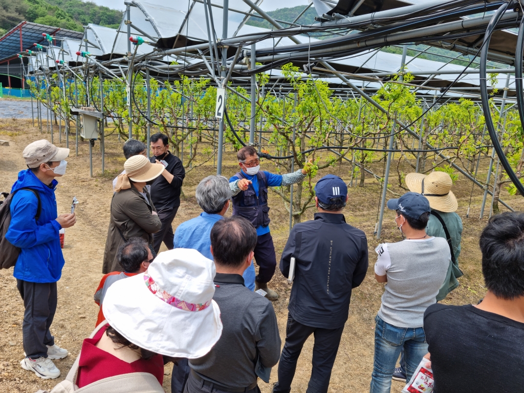 귀산촌 4기(보은 대추농장)