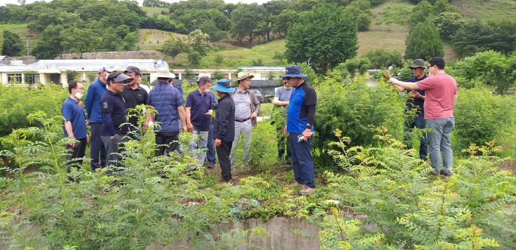 산초재배 현장교육