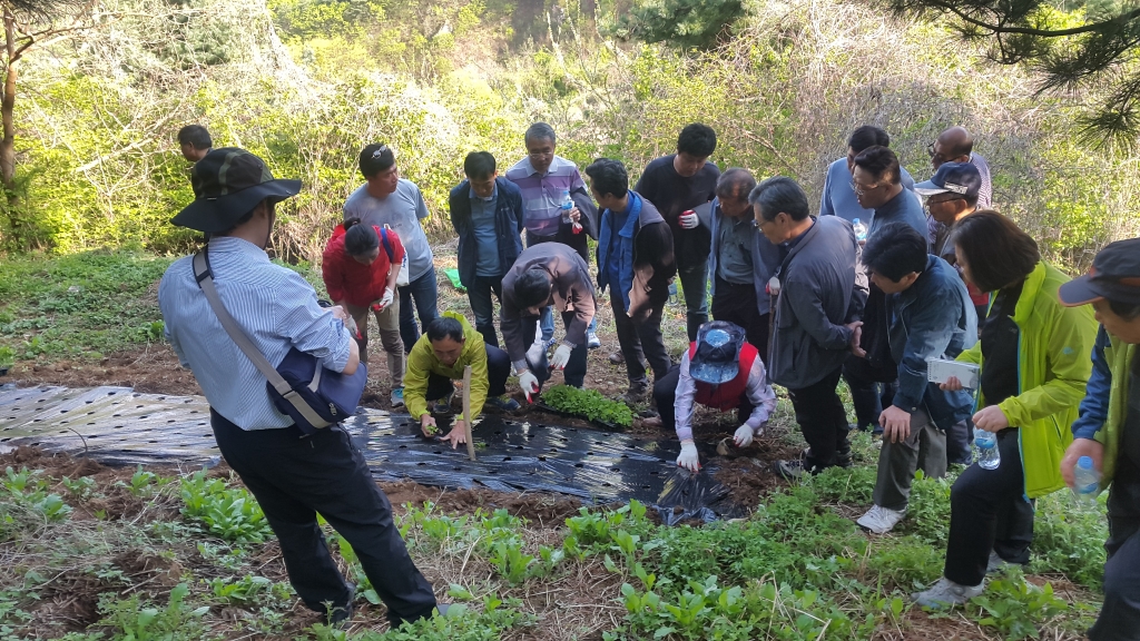 산나물재배실습